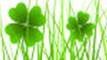Clover Leaves in Leprechaun Hat - stock vector